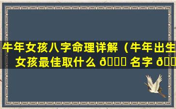 牛年女孩八字命理详解（牛年出生女孩最佳取什么 🐕 名字 🐯 ）